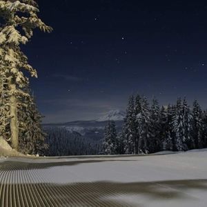 Meet your Posher, Coby